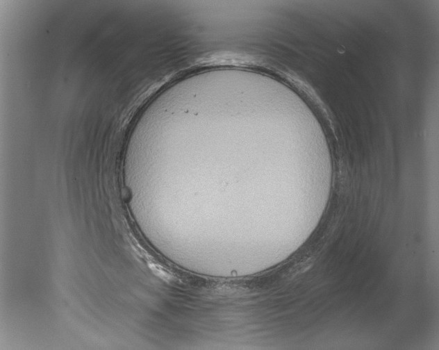 X0000080740529200701051147