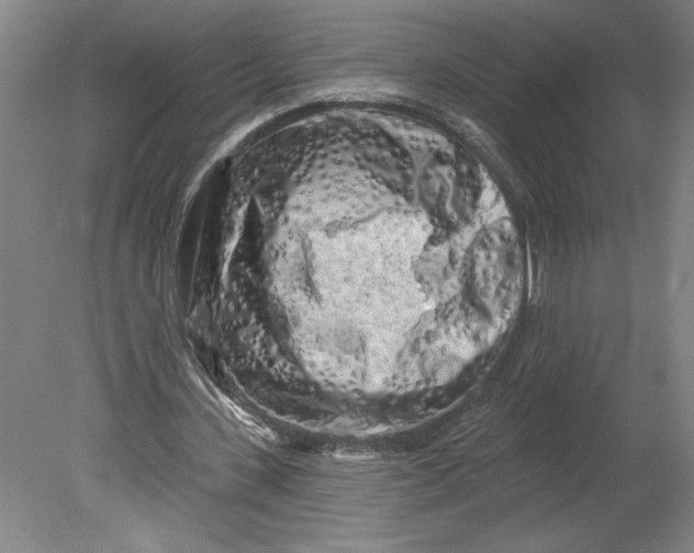 X0000080740531200701051147