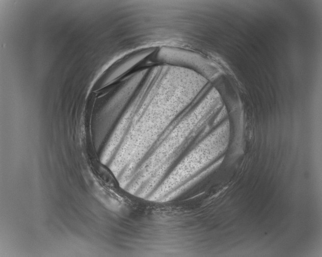 X0000080740532200701051147