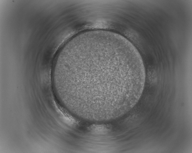 X0000080740534200701051147