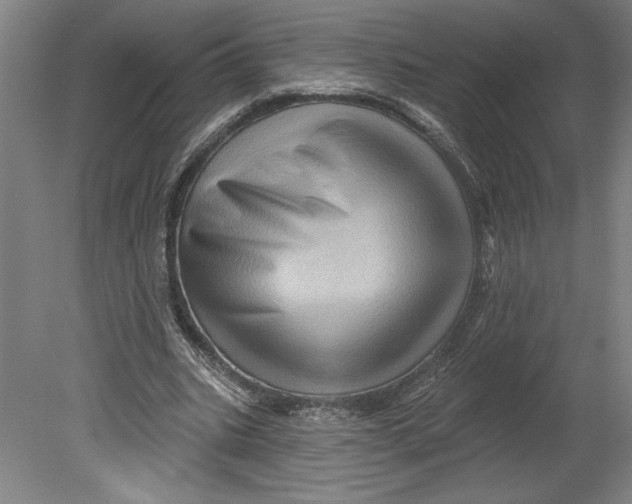 X0000080740535200701051147