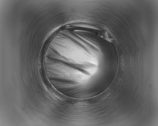 X0000080740536200701051147