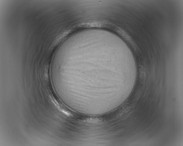 X0000080740537200701051147