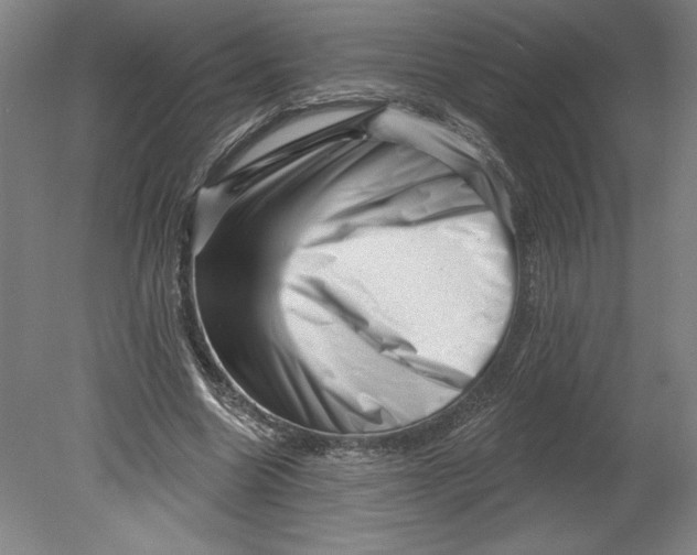 X0000080740538200701051147