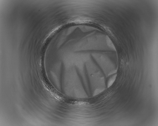 X0000080740539200701051147