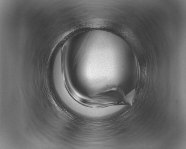 X0000080740540200701051147