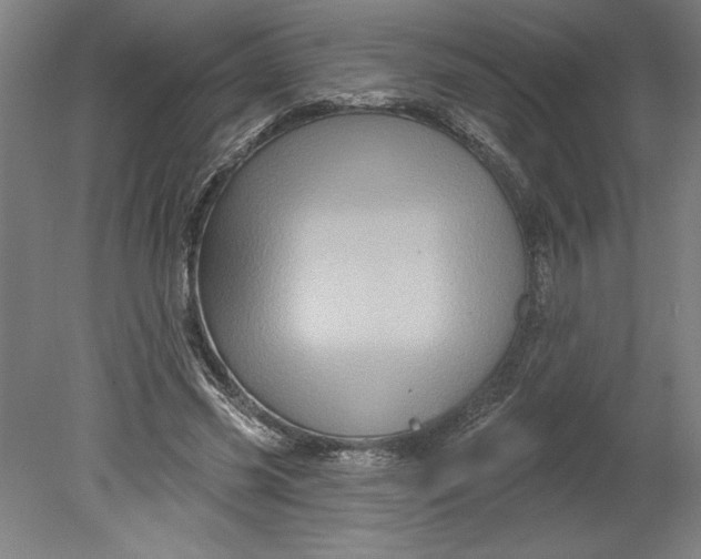 X0000080740541200701051147