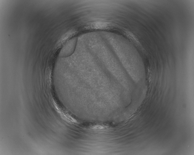 X0000080740542200701051147