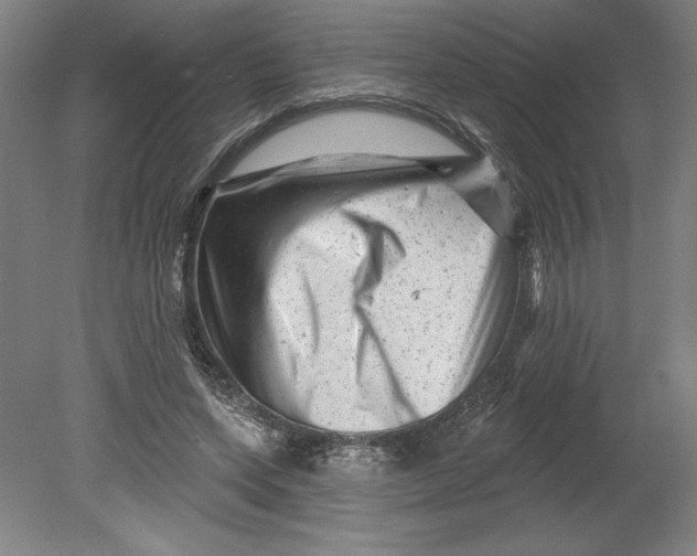 X0000080740543200701051147