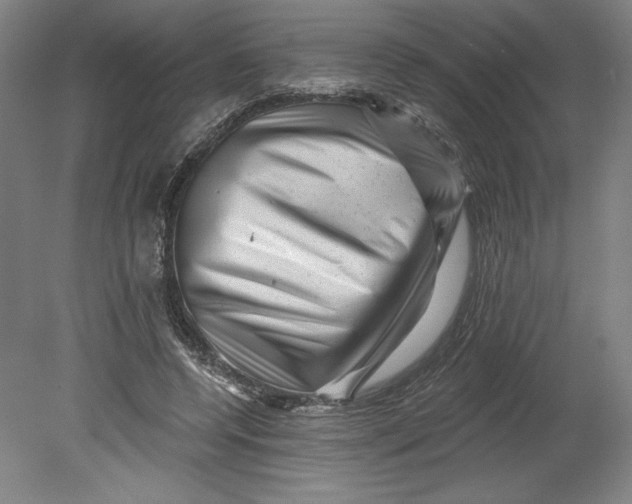 X0000080740544200701051147