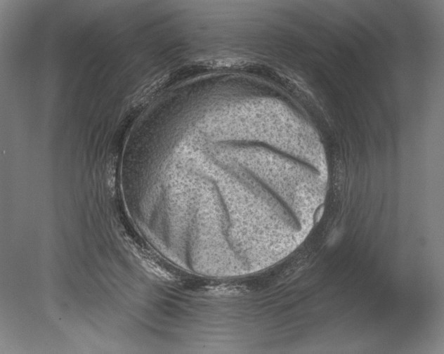 X0000080740545200701051147