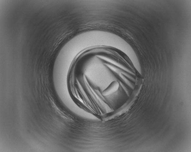 X0000080740546200701051147