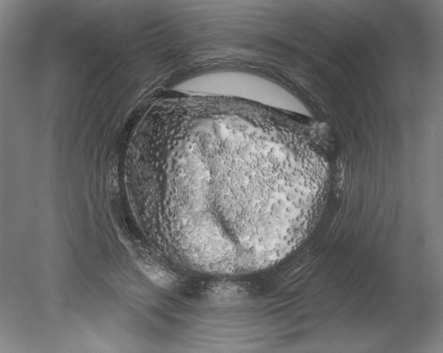 X0000080740547200701051147