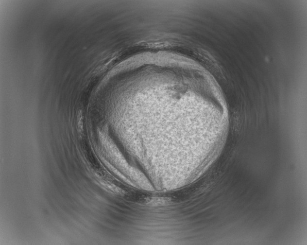 X0000080740549200701051147