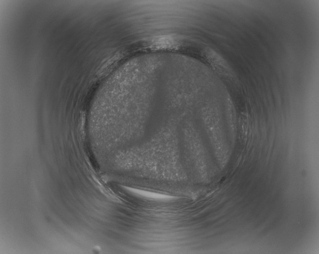 X0000080740550200701051147