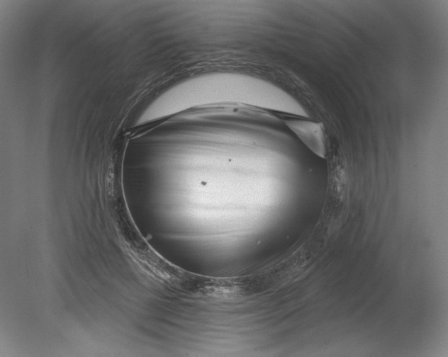 X0000080740552200701051147