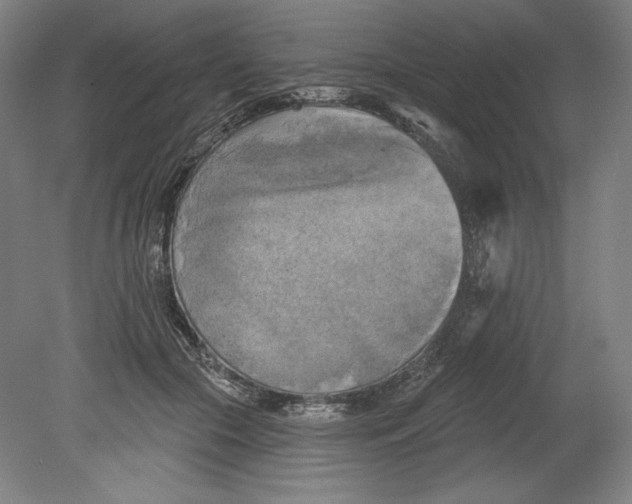 X0000080740553200701051147