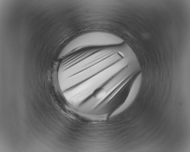 X0000080740556200701051147