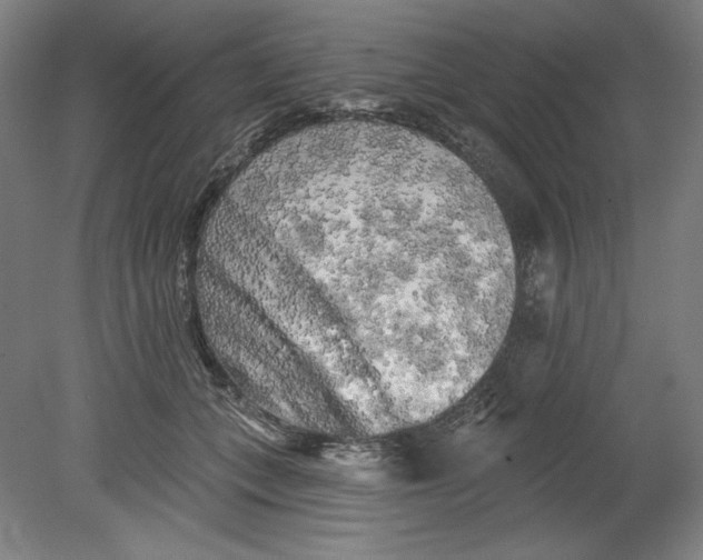 X0000080740559200701051147