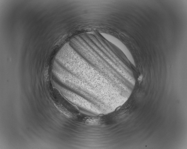 X0000080740560200701051147