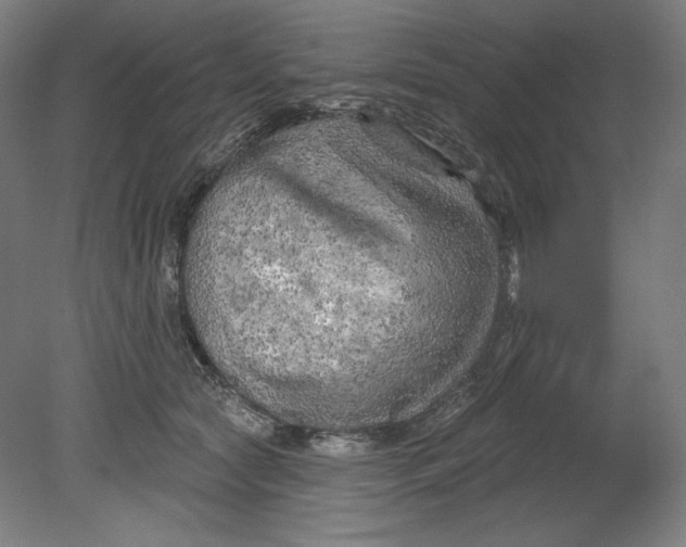 X0000080740561200701051147