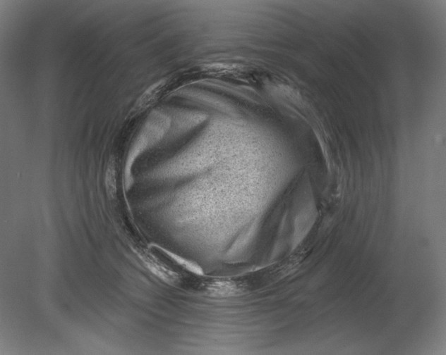 X0000080740562200701051147