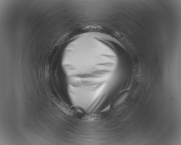 X0000080740563200701051147