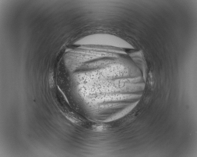 X0000080740564200701051147