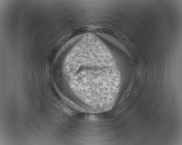 X0000080740565200701051147