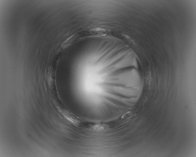 X0000080740566200701051147