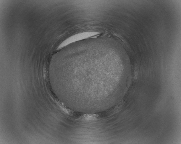 X0000080740569200701051147