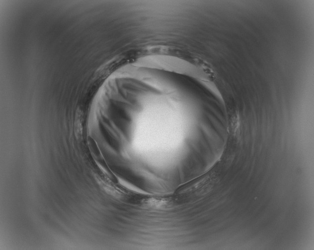 X0000080740570200701051147