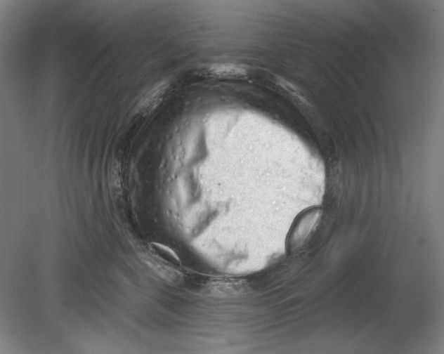 X0000080740571200701051147