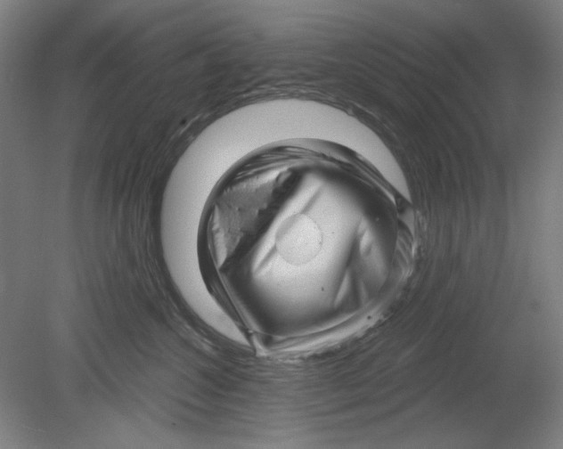 X0000080740572200701051147