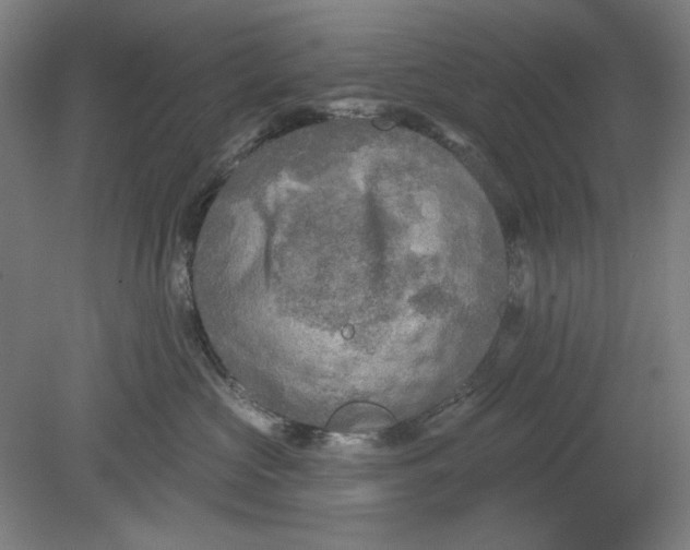 X0000080740573200701051148