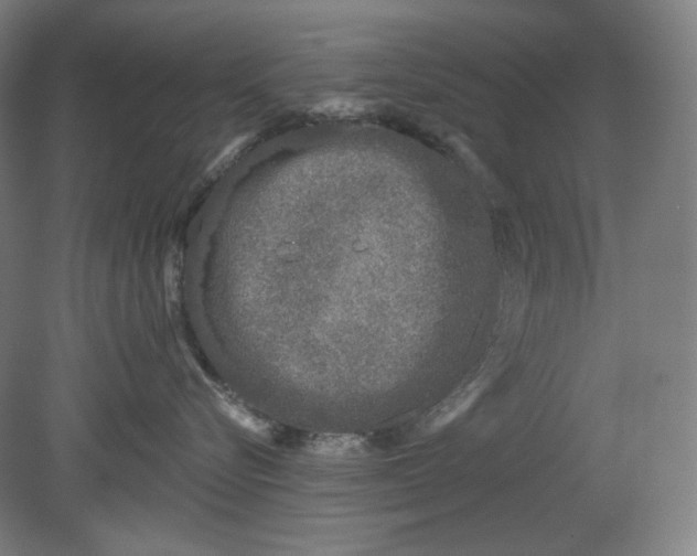 X0000080740576200701051148