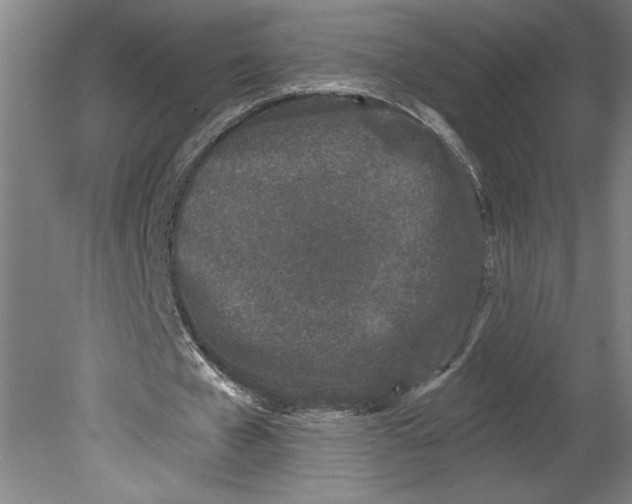 X0000080740577200701051147