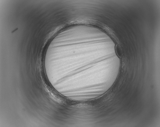 X0000080740578200701051147