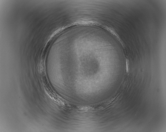 X0000080740579200701051147