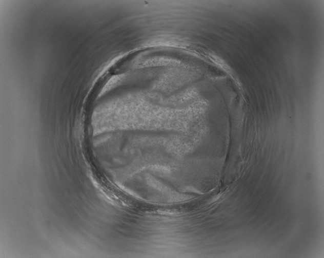 X0000080740580200701051147