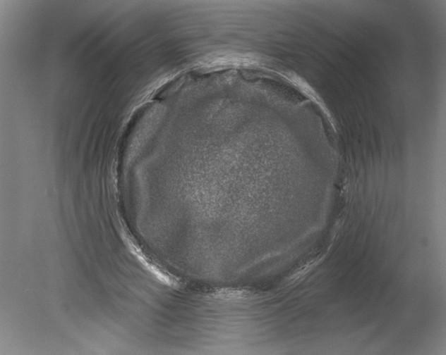 X0000080740581200701051147