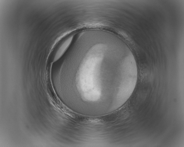 X0000080740583200701051147