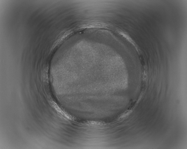 X0000080740585200701051147