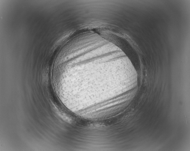 X0000080740586200701051147