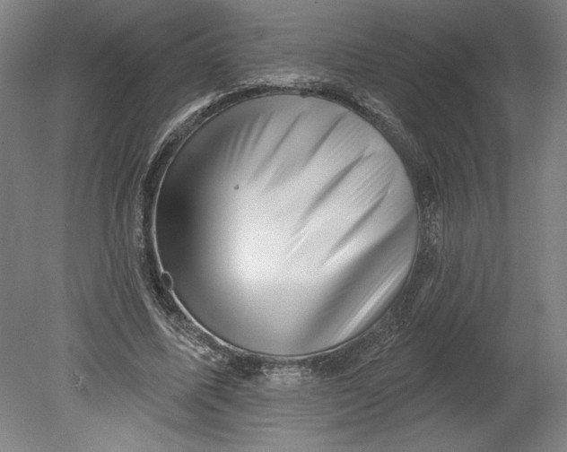 X0000080740587200701051147