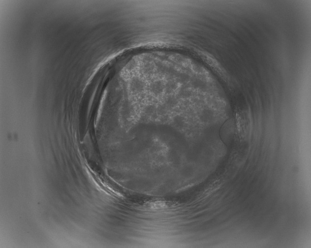 X0000080740588200701051146