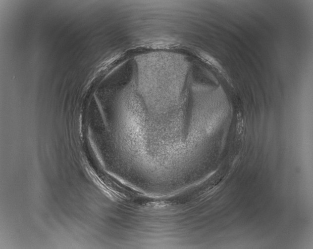 X0000080740589200701051146