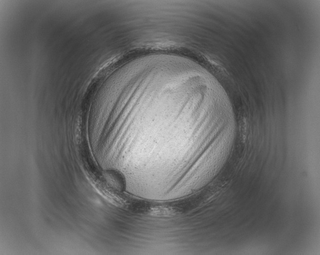 X0000080740591200701051146