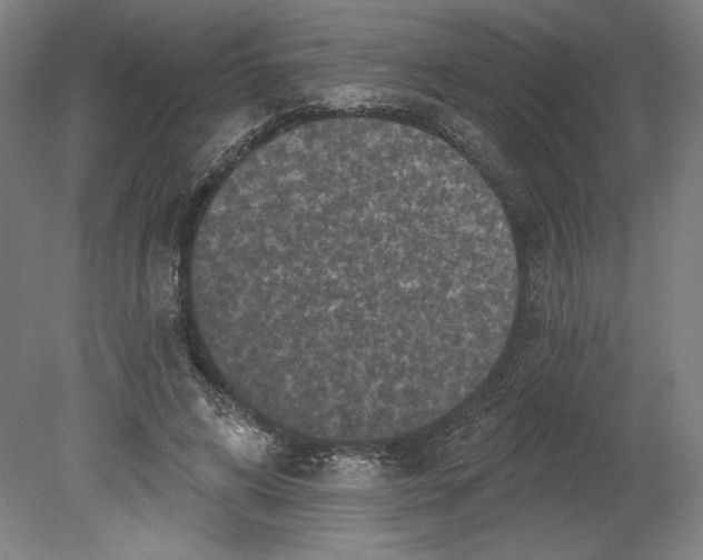 X0000080740592200701051146