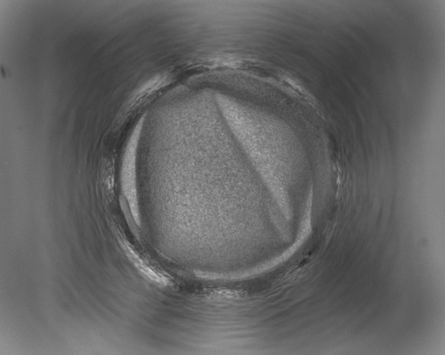 X0000080740593200701051146